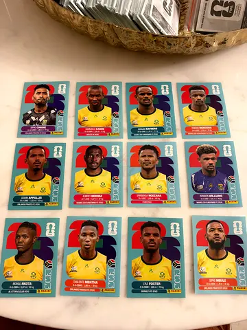 Collection of 12 World Cup Football Player Trading Stickers-RSA
