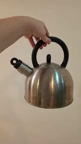 Stainless Steel Whistling Kettle with Black Handle - Used
