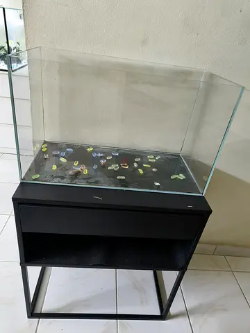 A big glass aquarium tank with small decorative pebbles