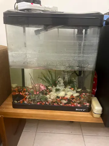 20L Fish Aquarium Tank with Hood, Filter and Decorations