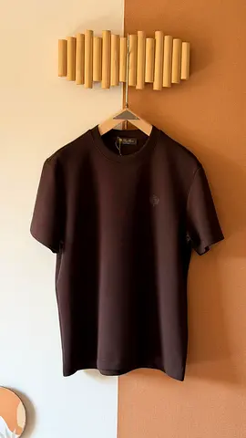 Loro piana T-shirt for men