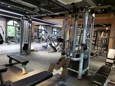 Flow Fitness 5 Station Jungle Gym MJ5
