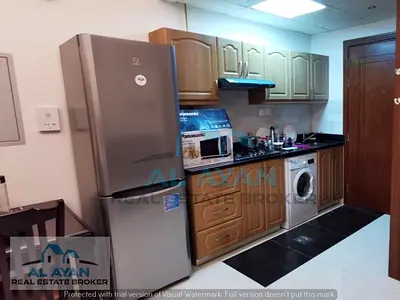 FURNISHED STUDIO FOR RENT IN ELITE 10 RESIDENCE DUBAI