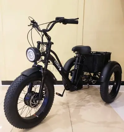 Electric fhat tri scooter