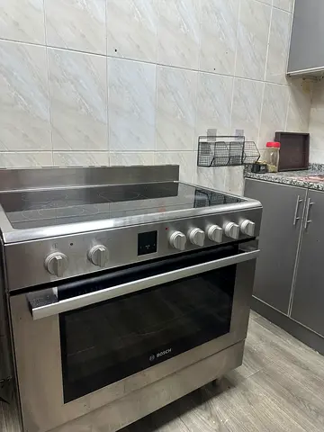 Electric fire cooker