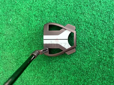 Taylormade Spider Tour X True Path L Neck