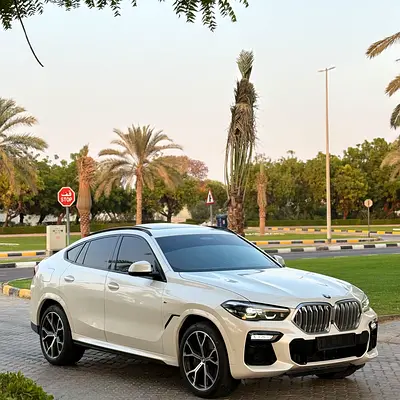 2020 BMW X6