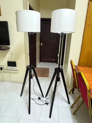 Floor Lamp for Sale
