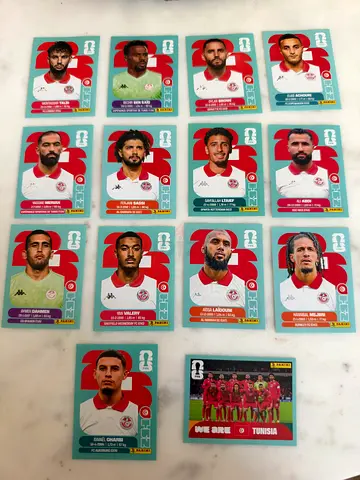 Panini FIFA World Cup Tunisia Player Sticker/Card Collection (15 pcs)
