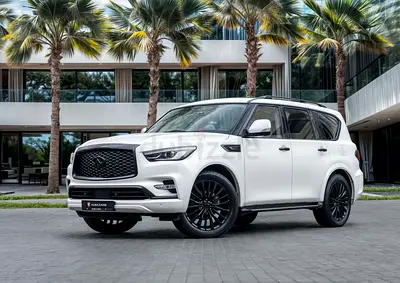 2023 Infiniti QX80