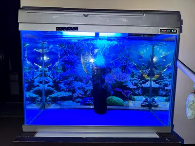 Used 60cm - 65Litre Aquarium Fish Tank with LED Hood and Background