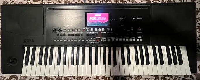 Korg PA300 Portable Keyboard - 61 Keys with Power Adapter