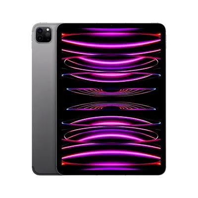 Apple iPad Pro 13-inch (4th Gen) Space Gray - Excellent Condition WiFi+sim 256gb