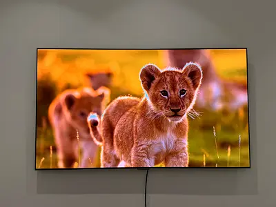 LG 65" OLED evo G3 4K Smart TV