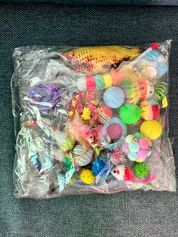 Bulk pack of assorted cat toys