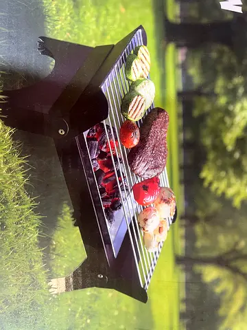 FOLDABLE BBQ GRILL
