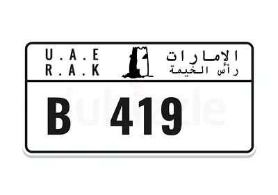 🔥 Rare VIP 3 Digit Code B Plate