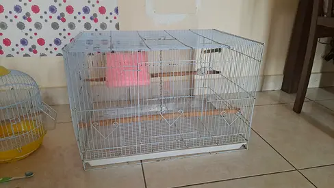 Metal bird cage with perches — good used condition