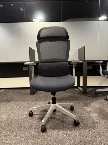 10 Premium Ergonomic Mesh Office Chair with Headrest