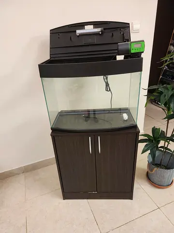 Glass Aquarium with Wooden Cabinet and Hood - 60x30x36 cm (approx)