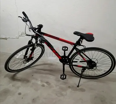 Cycle