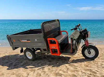 Electric rickshaw
