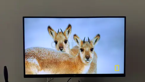 LG UltraFine Monitor 27US550-4K UHD IPS 27 inch