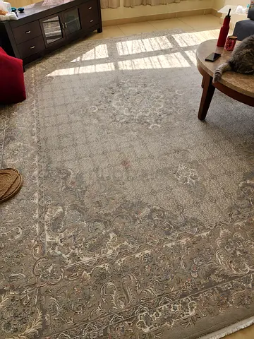 Large Persian-style living room rug - neutral tones, gently used