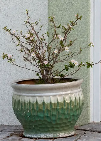 Beautiful ceramic planter for sale!