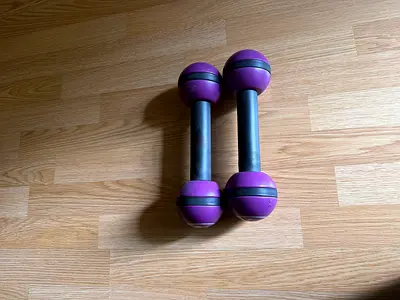 Pair of Zumba 2.5 lb Toning Dumbbells (Purple) - Light Weights
