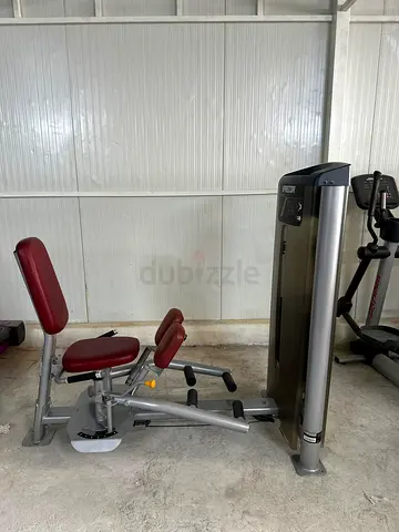 Precor Inner/Outer Thigh