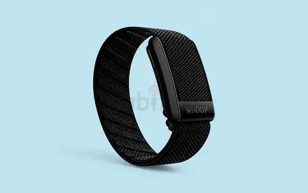 Whoop band 4.0 only