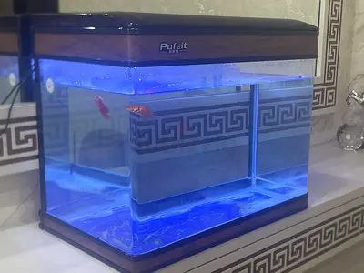 Pufeit 60L LED Glass Fish Aquarium Tank with Filter and water pump
