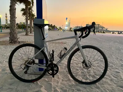 Specialized Allez Sport Road Bike
