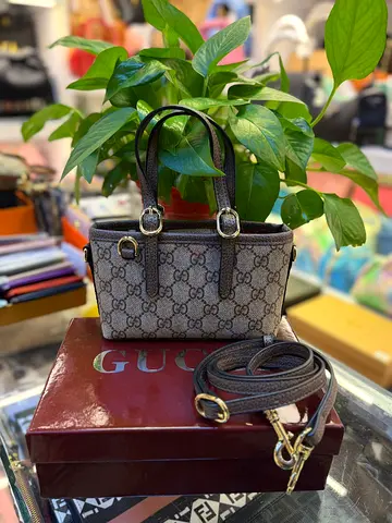 Gucci bag