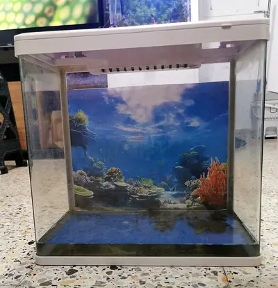 Used aquarium tank and good condition.