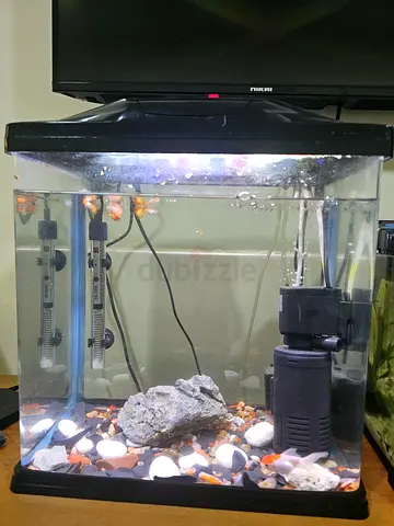 12"Lx9"Wx12"aquarium tank with air filter,heater&light accessories Fish no include