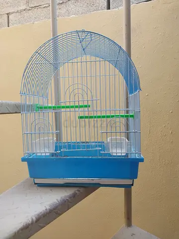 Small cage 15 aed