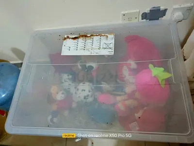 Clear storage box of mixed soft toys and plushies - used only as display from time to time.