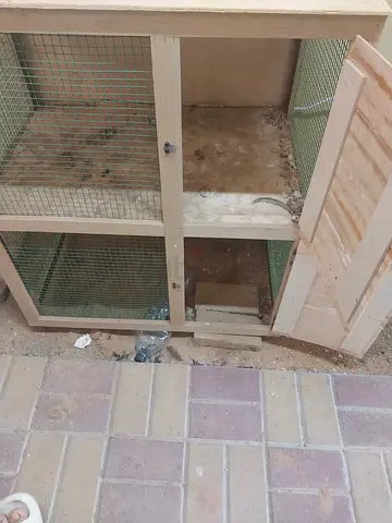 Wooden cage 35 aed double floor
