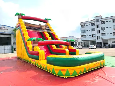 Large Inflatable Slide with Pool — New Outdoor Bounce House