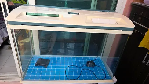 Fish tank for free