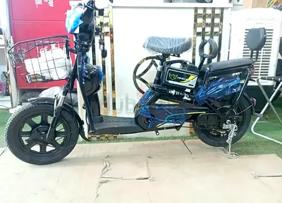 Windhorse M2 Electric Delivery Bike!
