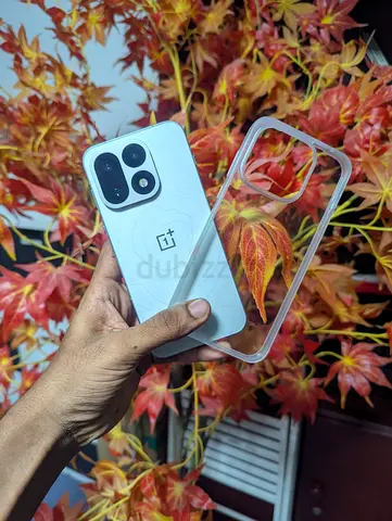 OnePlus 16 12/256