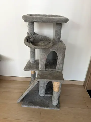 Cat supplies bundle