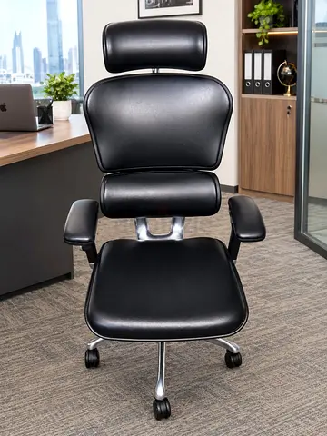 Ergohuman office chair