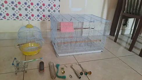 Two bird cages with perches and accessories - good condition