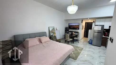 Fully Furnished Studio Apartment Olivz By Danube