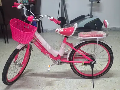 16-inch Rally Bicycle For Girls, Basket And Rear Seat, Dark Pink