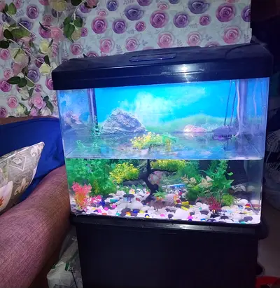 24x20 inch Glass Aquarium Tank with Hood and LED Light - Good Condition and brand new